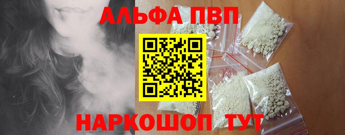 Alfa_PVP СК КРИС Сыктывкар