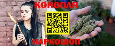 гашик Можга