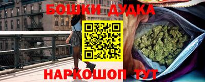 гашик Можга