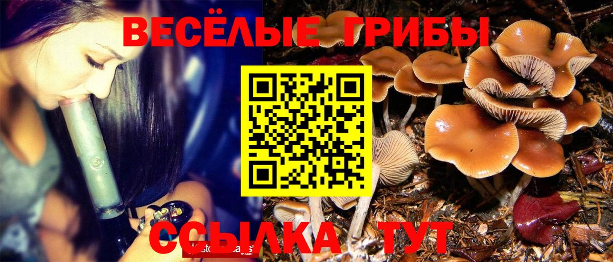 Сыктывкар  Псилоцибиновые грибы Psilocybe  где можно купить наркотик  Вход с VPN 