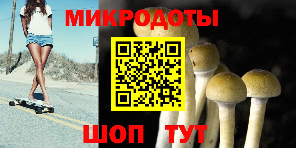 Псилоцибиновые грибы мицелий Сыктывкар